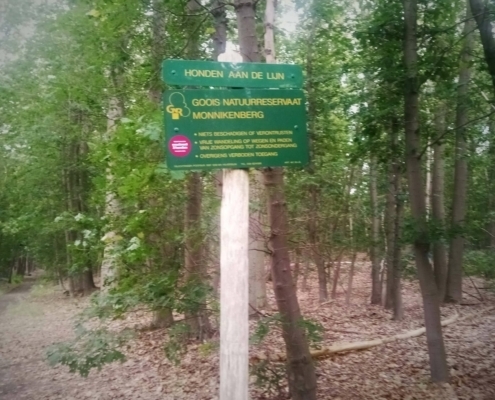 De Natte Wegwaai Wandeling