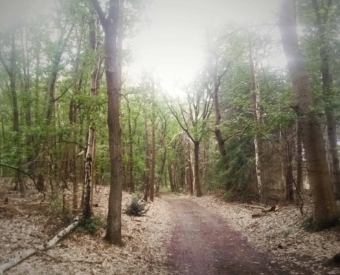 De Natte Wegwaai Wandeling