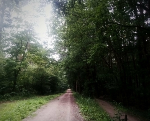 De Natte Wegwaai Wandeling