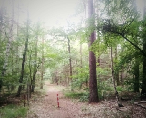 De Natte Wegwaai Wandeling