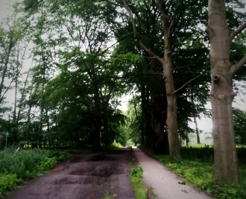 De Natte Wegwaai Wandeling