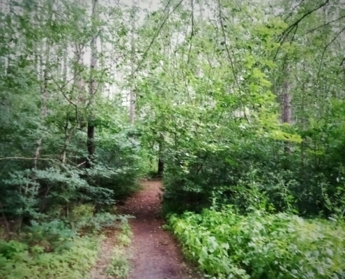 De Natte Wegwaai Wandeling