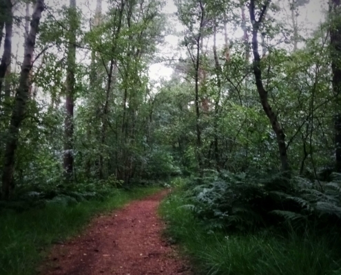 De Natte Wegwaai Wandeling