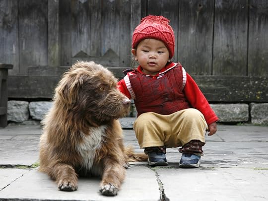 Welcome Home: Introducing A New Baby To Pets | CVMBS News