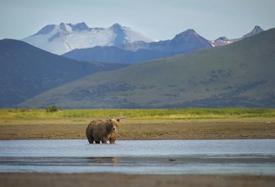Katmai-National-Park-and-Preserve-least-visited-national-parks-470172362