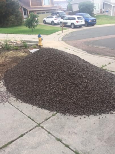 A pile of six and a quarter tons of gravel on my driveway.