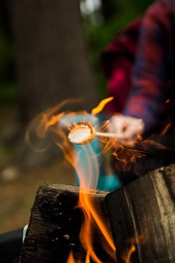 marshmallow toasting over flaming log
