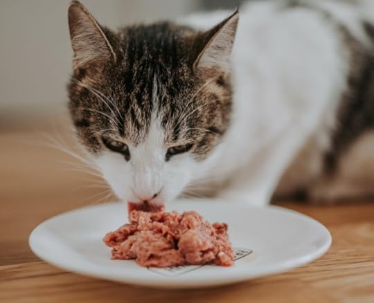 Darwins-raw-cat-food