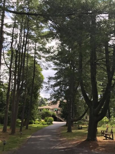 Screen Shot 2021-06-02 at 8.08.35 PM.png