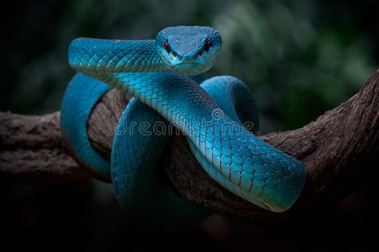 2,828 Eyes Observing Photos - Free & Royalty-Free Stock Photos from Dreamstime