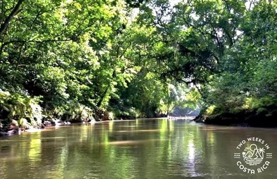 Tall trees and thick rainforest, river float tour