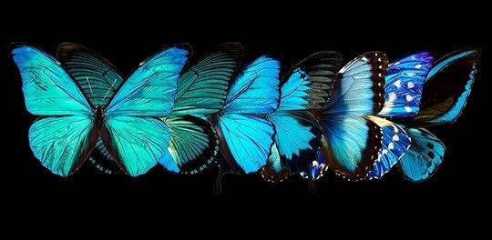 Photography by Heiko Hellwig