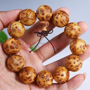 博猫娱乐