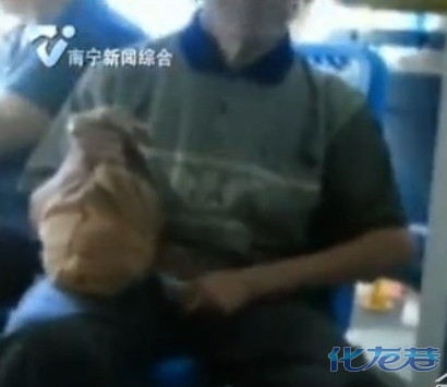 博猫娱乐官网