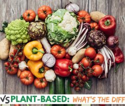 Plant-Based vs Vegan Graphic