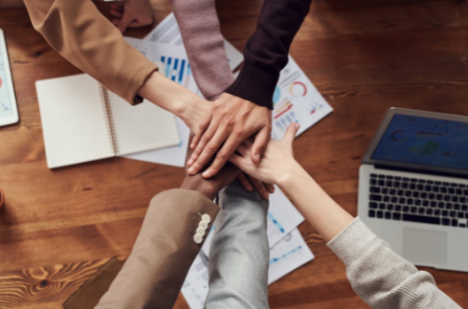 Pexels - CC0 License