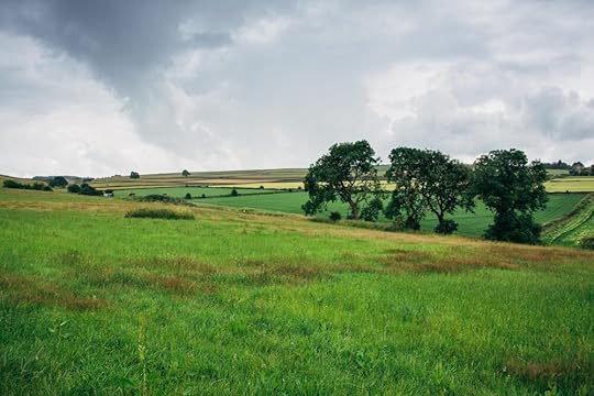 Lizzie_Carr (108 of 163).jpg