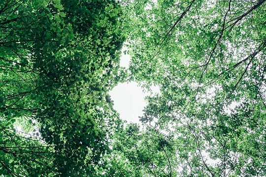 Lizzie_Carr (106 of 163).jpg