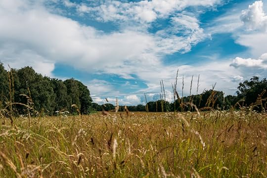 Lizzie_Carr (112 of 163).jpg