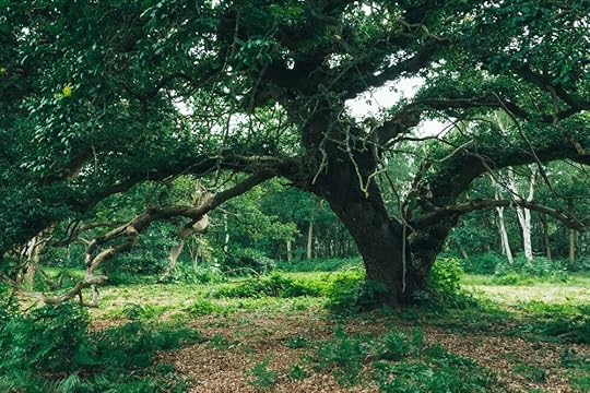 Lizzie_Carr (117 of 163).jpg