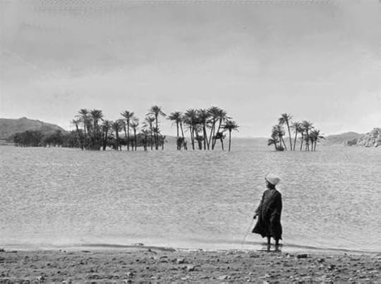 16607356111499429863