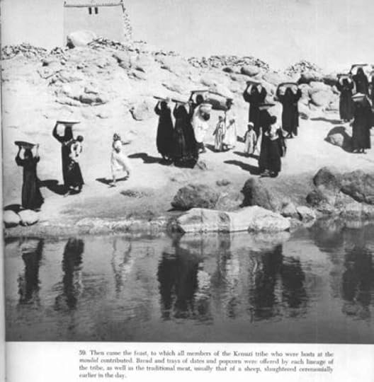 20540070391499429862