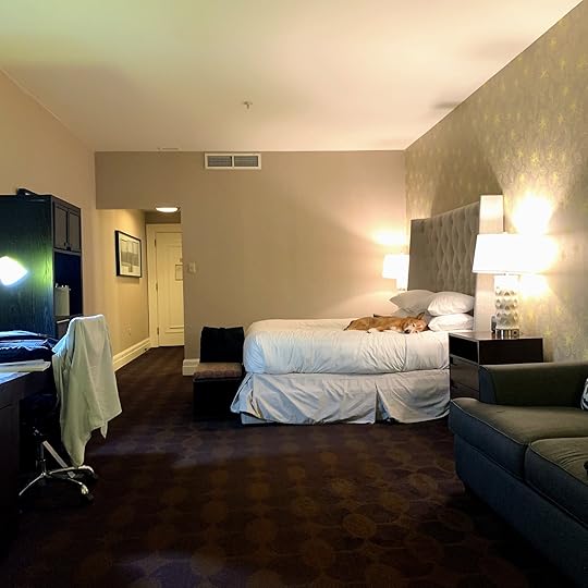 Hyatt Bellevue Philadelphia review