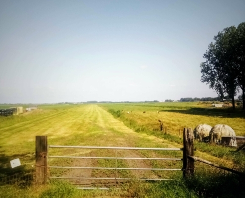 Fietstocht op de donderdagmiddag