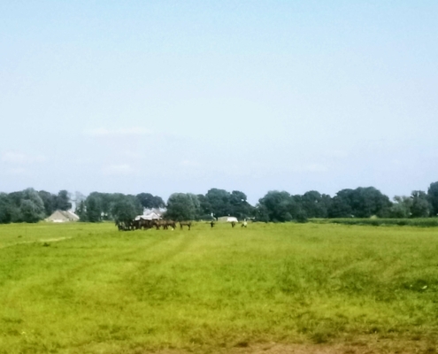 Fietstocht op de donderdagmiddag