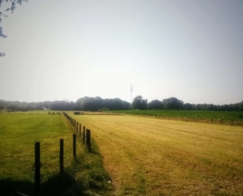 Fietstocht op de donderdagmiddag