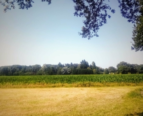 Fietstocht op de donderdagmiddag