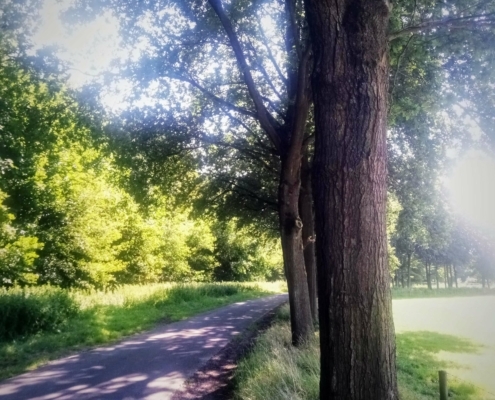 Fietstocht op de donderdagmiddag