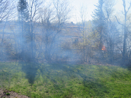 Burning the Blueberry Field Behind Our House