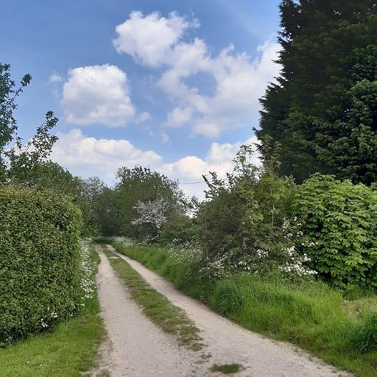 photo of the lane by the side of the cottage where my father lived during the war