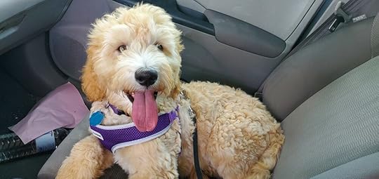 Noodles after a great walk in the park!