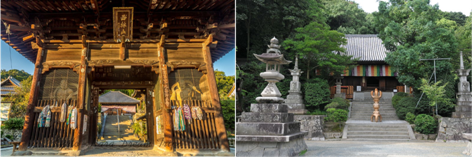 Ehime-Combo-SM2.png