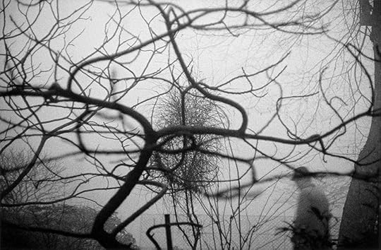 Photography by  Sergio Larrain