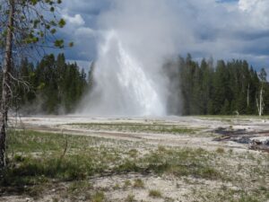 Daisy Geyser first impression