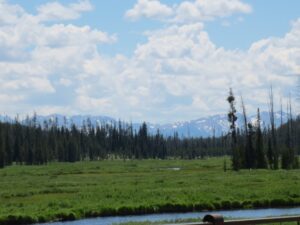 Lewis River Yellowstone