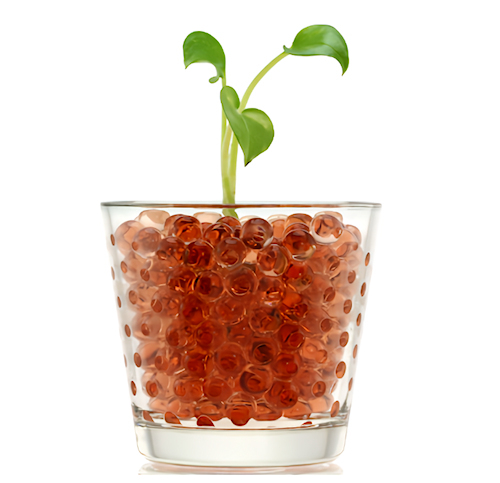 Futurist Speaker Thomas Frey Blog: The Future of Self Watering System, Hydrogel and Water Scarcity