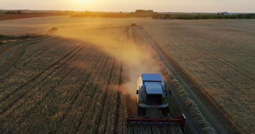 The Price of Progress: How safe is European food production?
