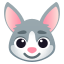 rabbit face
