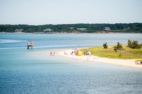 Swimmers,On,Chappaquiddick,Beach,In,Edgartown,Harbor, Martha’s Vineyard