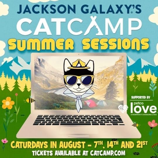 cat-camp-summer-sessions