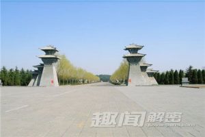博猫娱乐