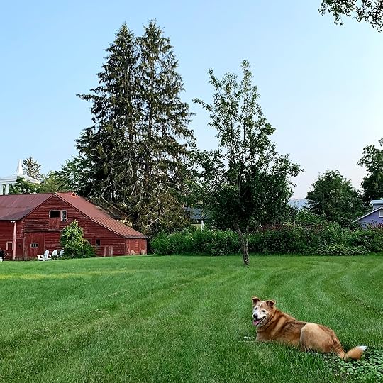 August 2021 Freedom Update