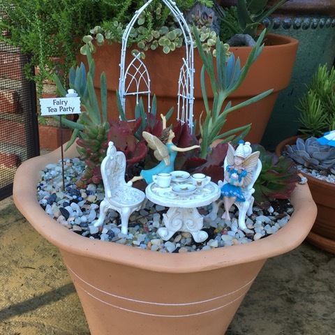 image of a Fairy Tea Party in a pot of succulents