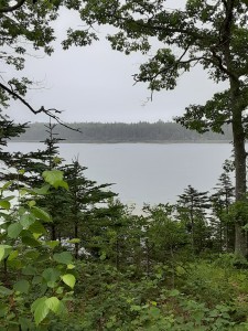 Maine background