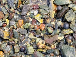 Rocks