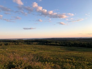 IMG_3162